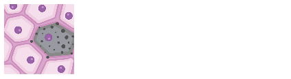 SenNet logo