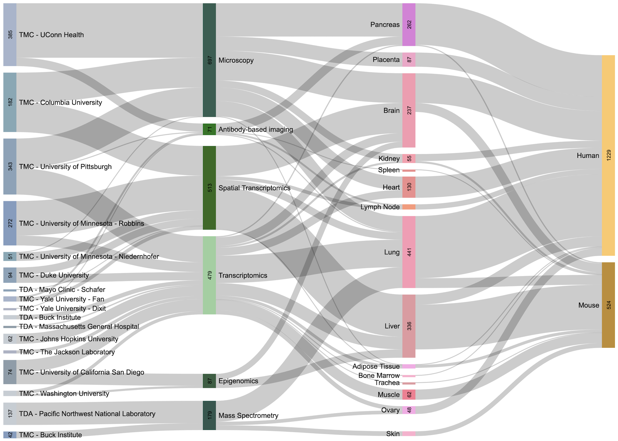 Click to view Sankey diagram. Click on image to launch interactive Sankey diagram.