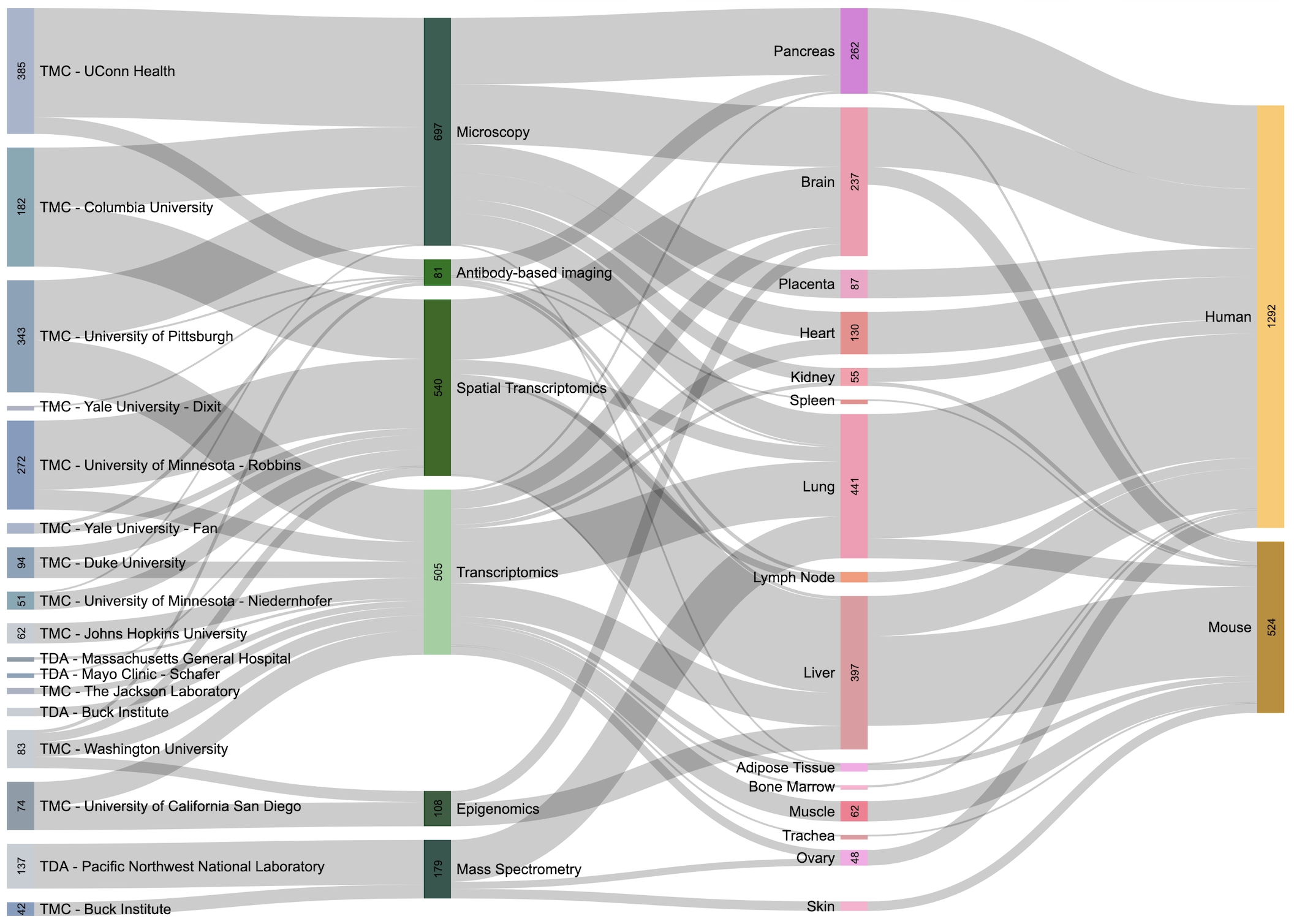 Click to view interactive Sankey diagram. Click on image to launch interactive Sankey diagram.